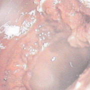 給水管の中はこんなに汚れています